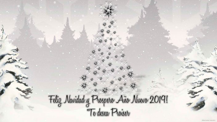 Navidad_ES-2018-19